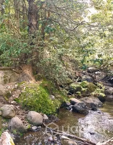 Parcela cerca Siete Tazas, con estero, 2 ha