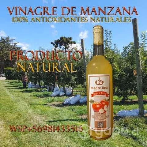 Vinagre de manzana con madre