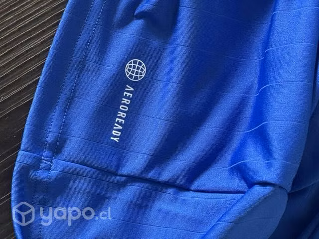 Camiseta U de Chile