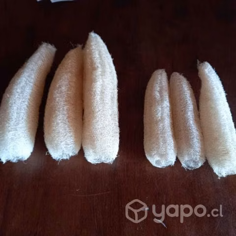 Luffas