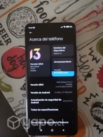 Xiaomi 12 normal