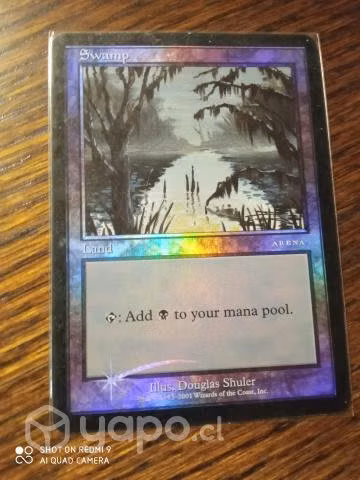Mtg Pantano Arena