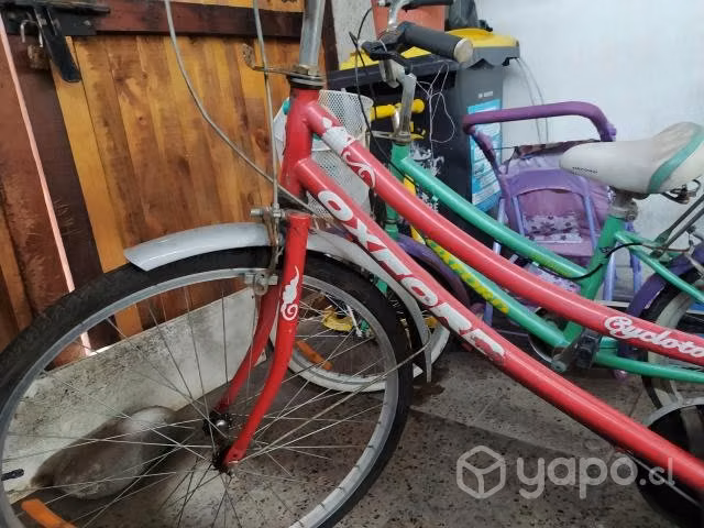 Bicicletas Oxford de paseo