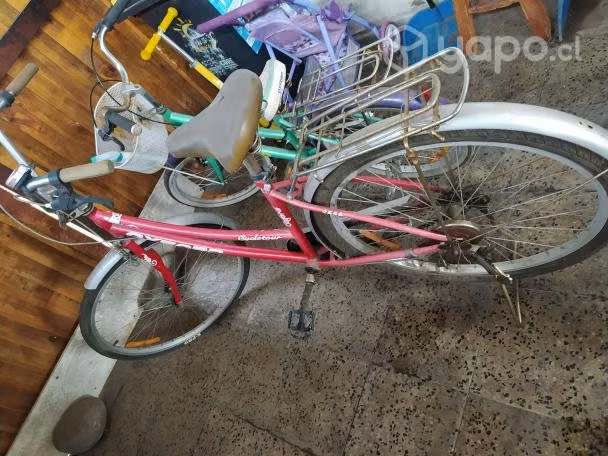 Bicicletas Oxford de paseo