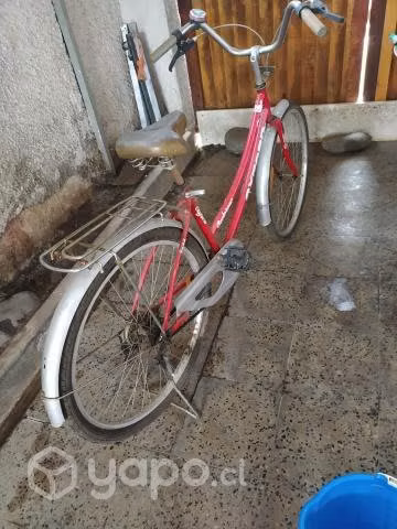 Bicicletas Oxford de paseo