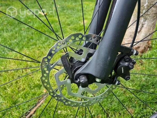 Specialized rockhopper comp 29