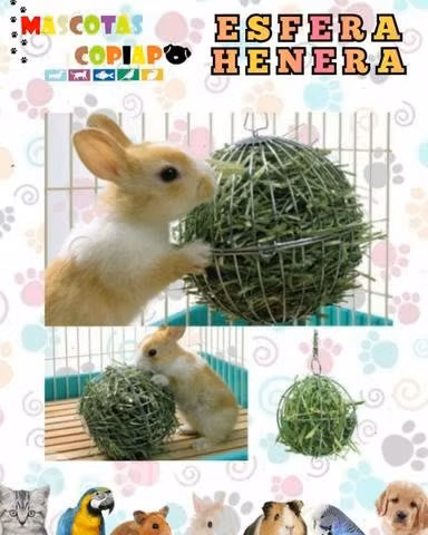 Productos para mascotas