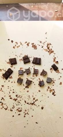Chocolates Tamarugal