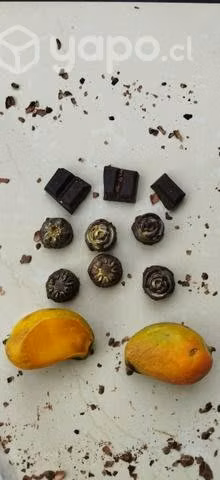 Chocolates Tamarugal