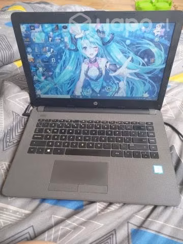Notebook