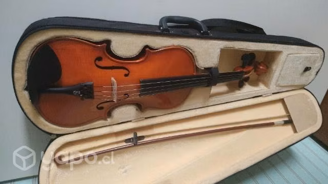 Violín y accesorios