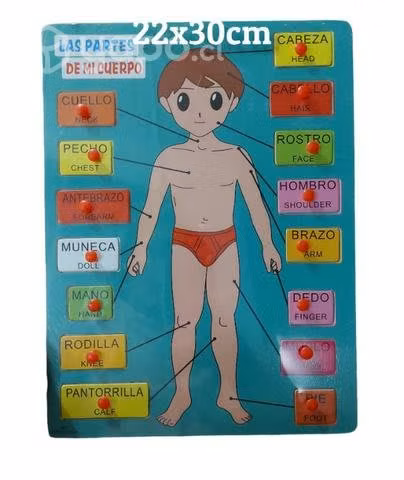 Puzzles y juegos de encajes varios