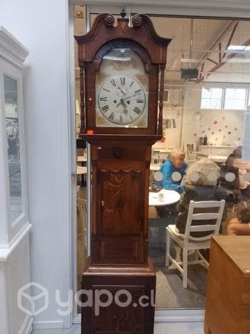 Reloj de pedestal inglés coleccion