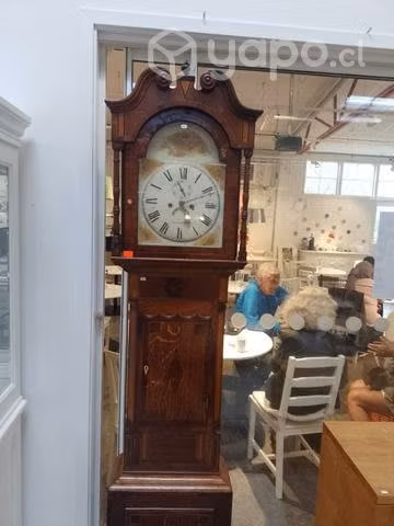 Reloj de pedestal inglés coleccion