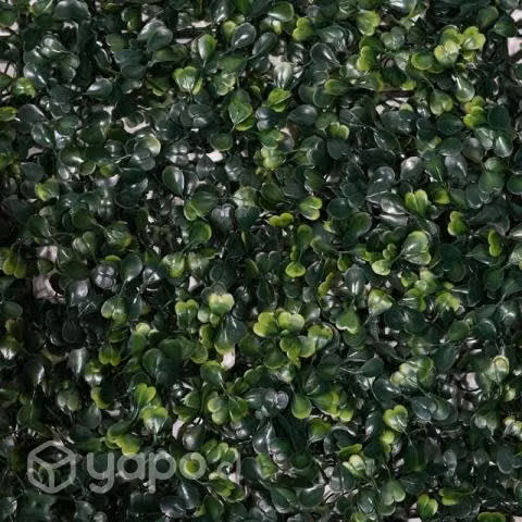 Pasto palmeta artificial trébol vertical de 60x40
