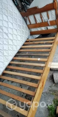 Cama