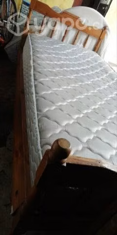 Cama