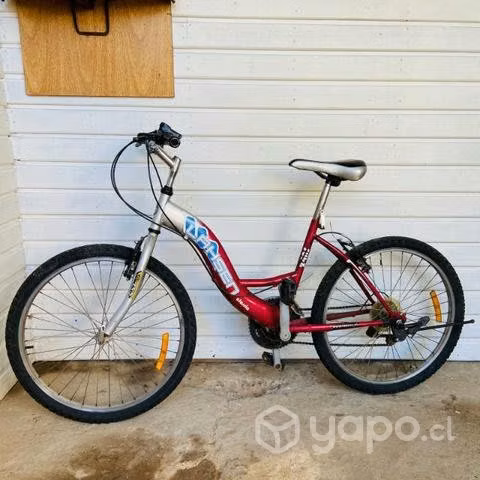 Bicicleta