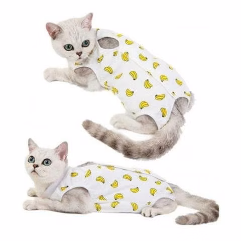 Traje Post Operatorio para Gatos