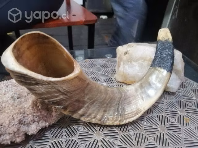 Shofarot kosher
