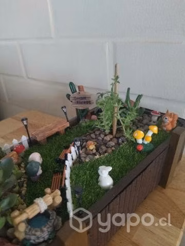 Terrarios feng shui de la abundancia