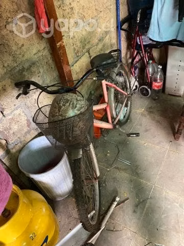 Bicicleta aro 24 de paseo