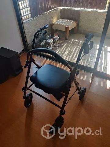 Burro andador adulto