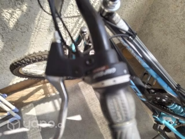 Bicleta