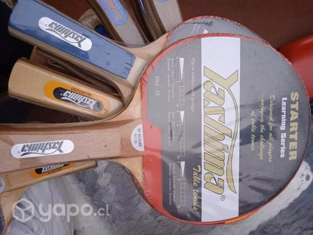Paletas de PING PONG