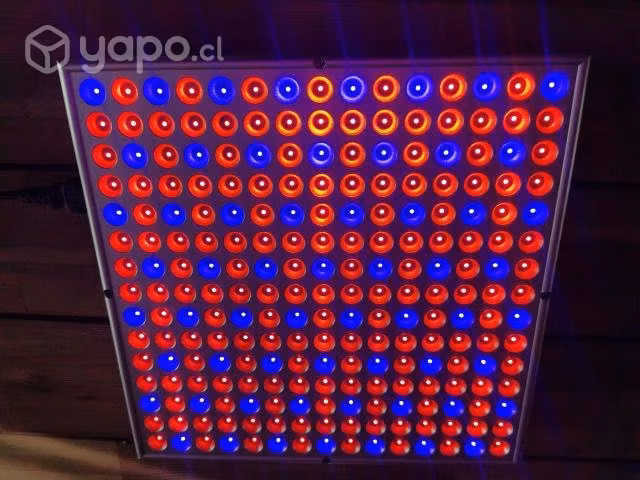 Led indoor