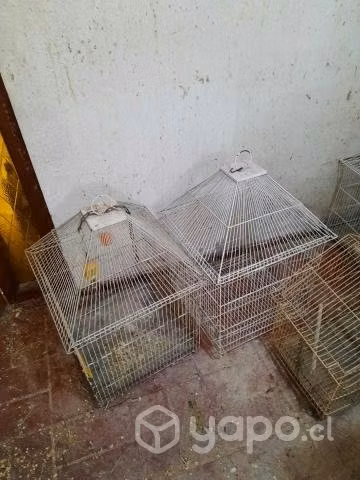 3 jaulas en buen estado