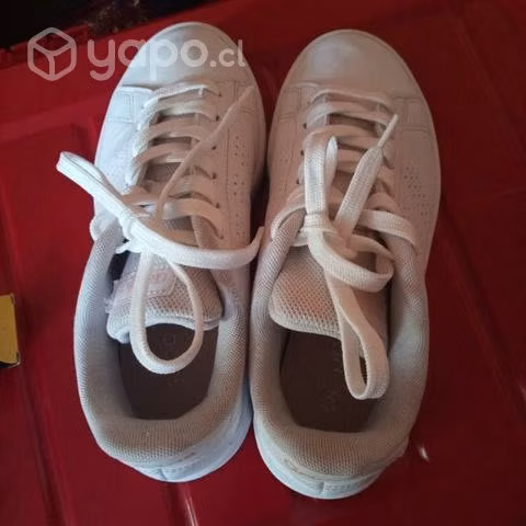 Lindas Zapatillas 36BBB