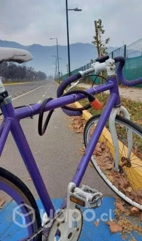 Bicicleta fixie