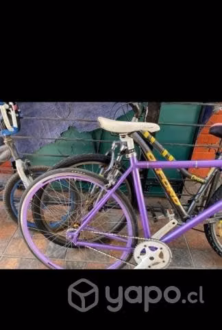 Bicicleta fixie