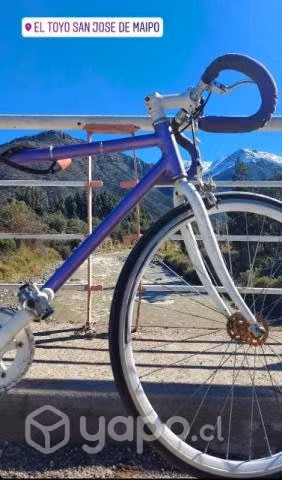 Bicicleta fixie