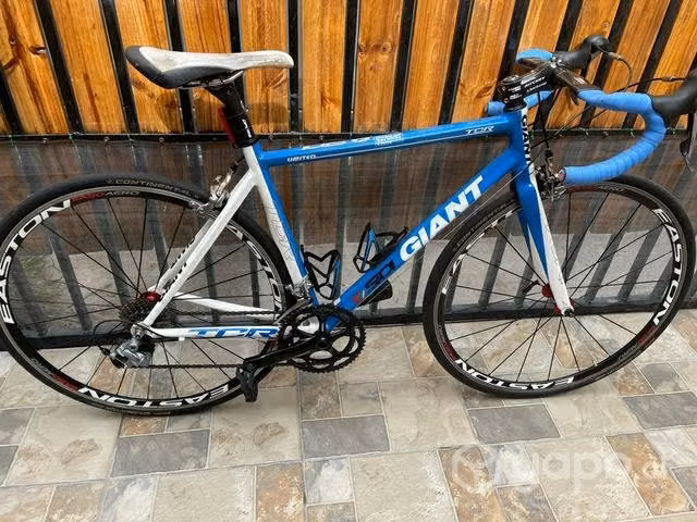 Giant Tcr