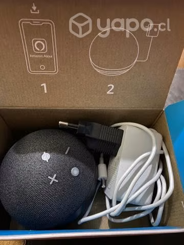 Alexa Echo dot