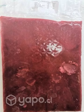 Pulpas Fruta Congeladas