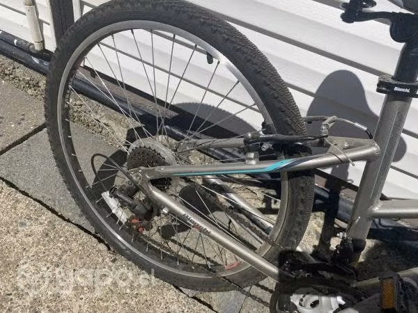 Bicicleta Dama Bianchi y accesorios