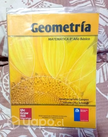 LIBRO GEOMETRIA - MATEMATICA - McGrawHill