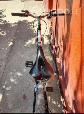 bicicleta lahsen - Imagen 2