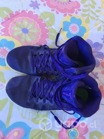 Zapatillas de Basketball hyperdunk- nike