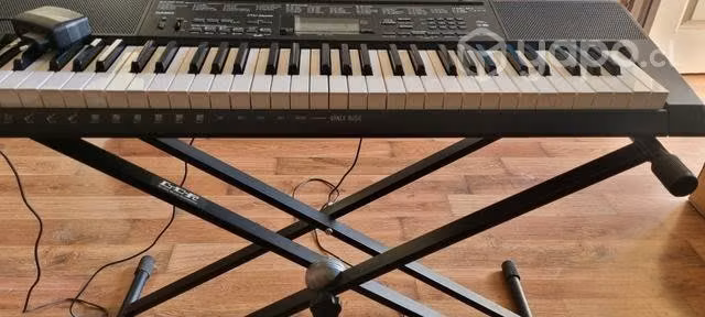 Teclado casio