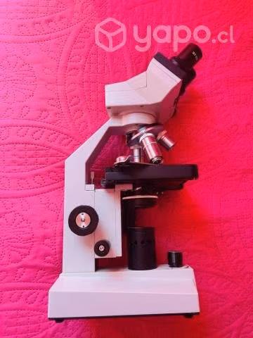 Microscopio Biologico Konus Campus 2