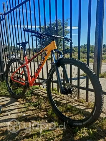 Marlin 7 talla L 2022