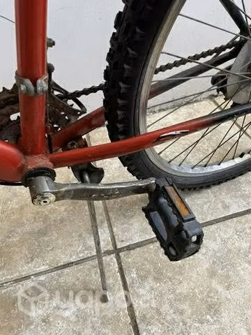 Bici oxford - Imagen 5