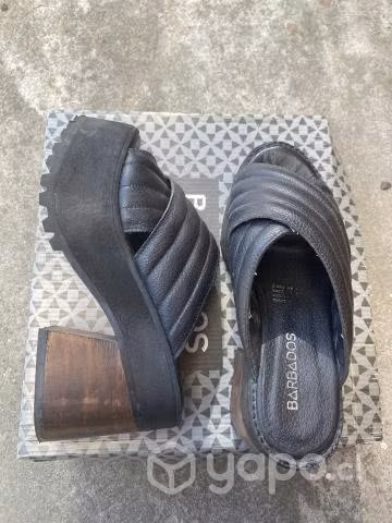 Chalas barbados 37