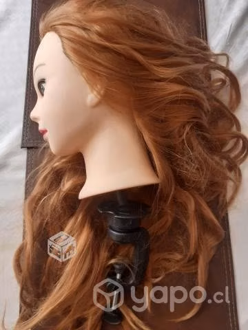 Cabeza técnica para peluquería nueva