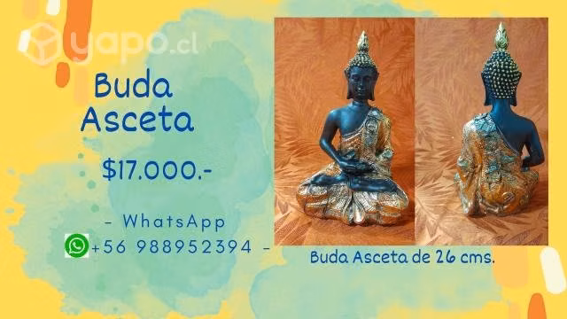 Budha asceta