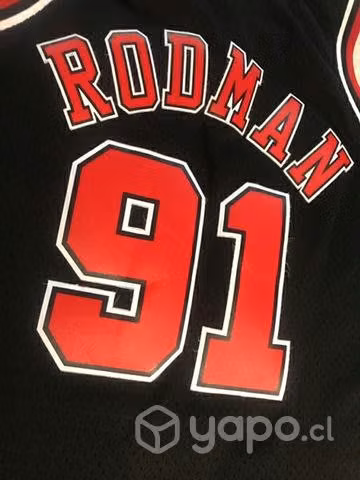 Camiseta Bulls Dennis Rodman - Imagen 6
